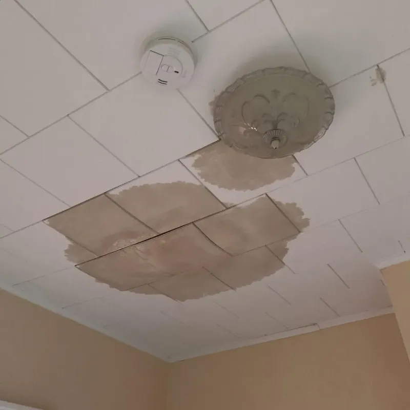 Ceiling Water Damage Repair in City of Charlottesville, VA