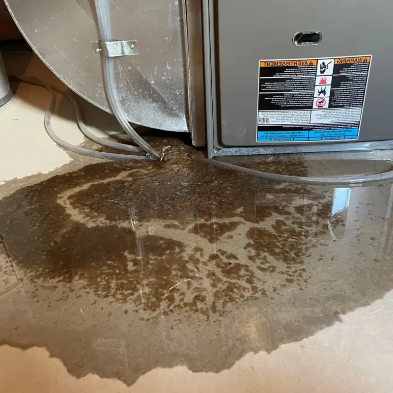Pipe Burst and Leak Restoration in City of Charlottesville, VA