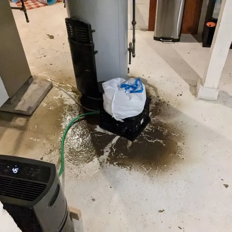 Sewage Backup Cleanup Service in City of Charlottesville, VA
